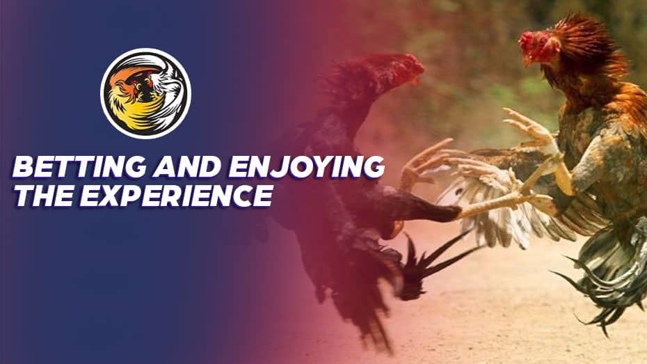 register free 100 no deposit